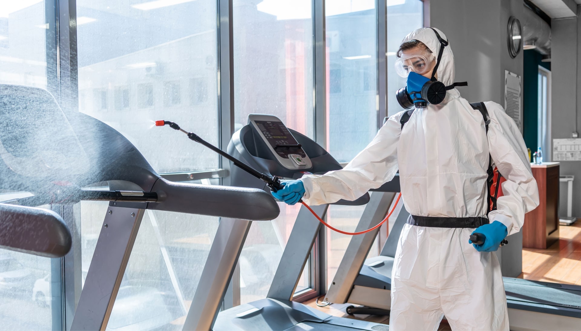 Commercial Mold Removal Services in Salem
