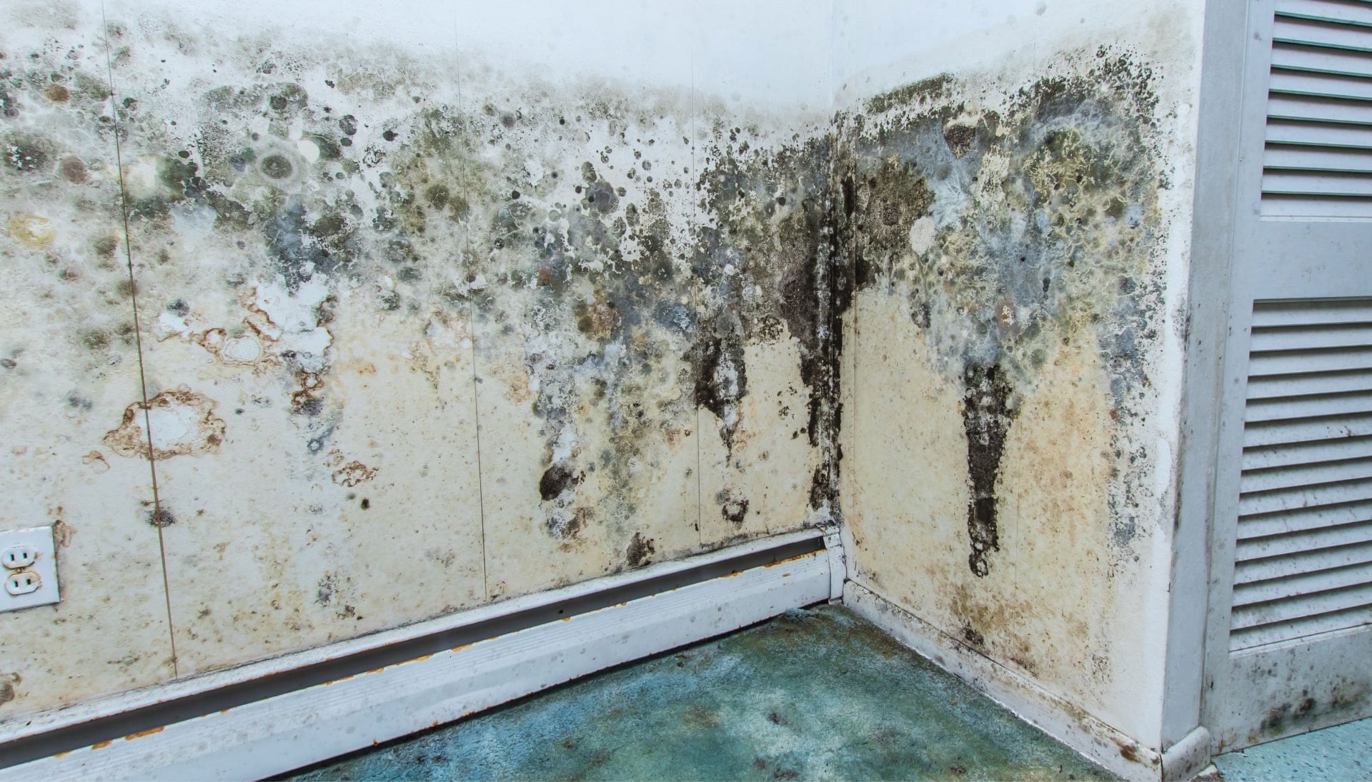 Mold Damage Odor Control Services in Salem
