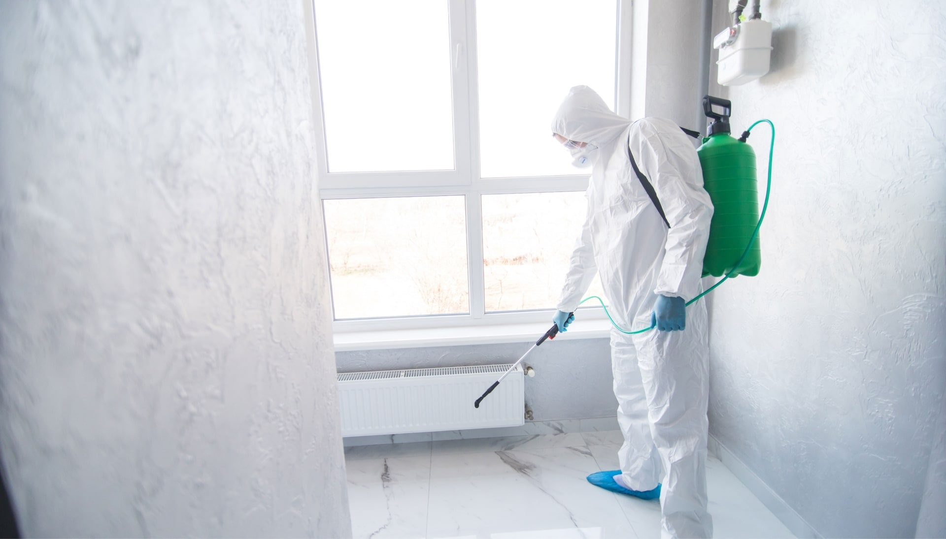 Mold Inspection Services in Salem